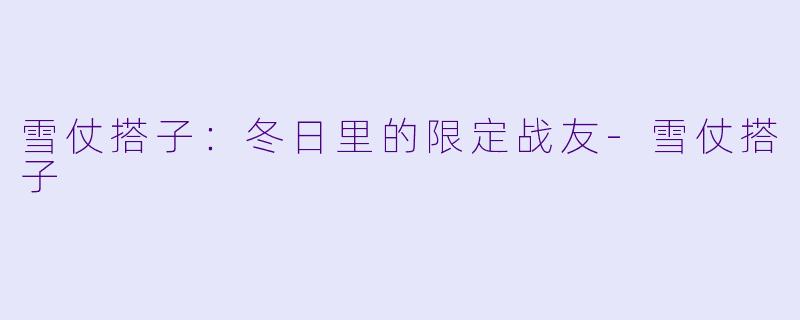 雪仗搭子：冬日里的限定战友-雪仗搭子
