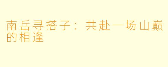 南岳寻搭子：共赴一场山巅的相逢