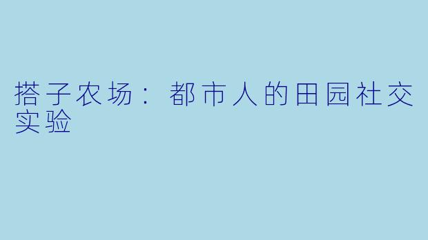 搭子农场：都市人的田园社交实验