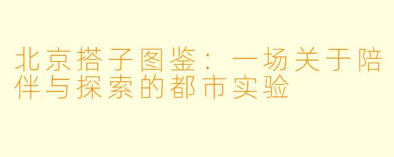 北京搭子图鉴：一场关于陪伴与探索的都市实验