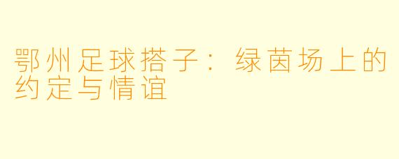 鄂州足球搭子：绿茵场上的约定与情谊