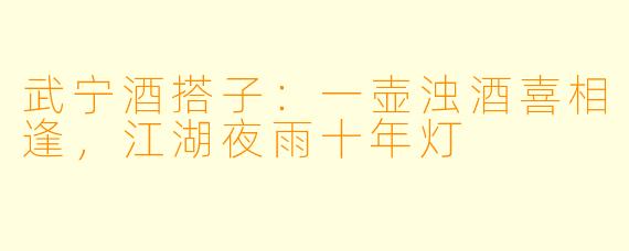 武宁酒搭子：一壶浊酒喜相逢，江湖夜雨十年灯