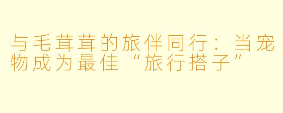 与毛茸茸的旅伴同行：当宠物成为最佳“旅行搭子”