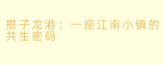 搭子龙港：一座江南小镇的共生密码