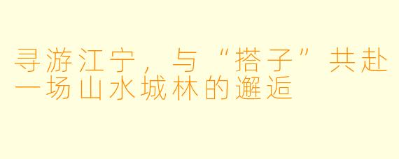 寻游江宁，与“搭子”共赴一场山水城林的邂逅