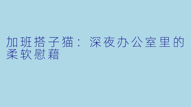 加班搭子猫:深夜办公室里的柔软慰藉