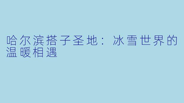 哈尔滨搭子圣地：冰雪世界的温暖相遇