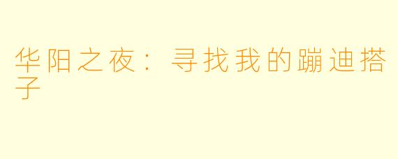 华阳之夜:寻找我的蹦迪搭子