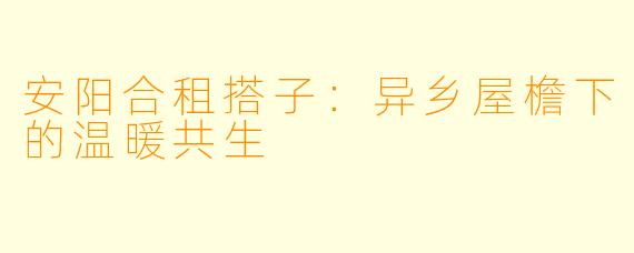 安阳合租搭子：异乡屋檐下的温暖共生