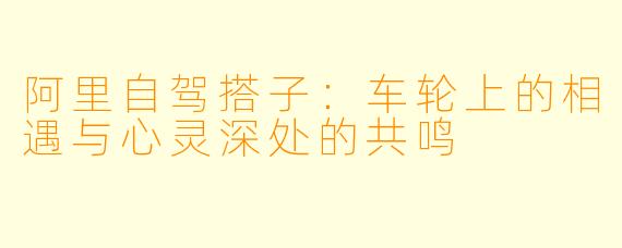 阿里自驾搭子：车轮上的相遇与心灵深处的共鸣