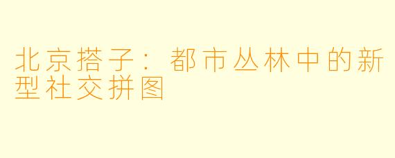 北京搭子:都市丛林中的新型社交拼图