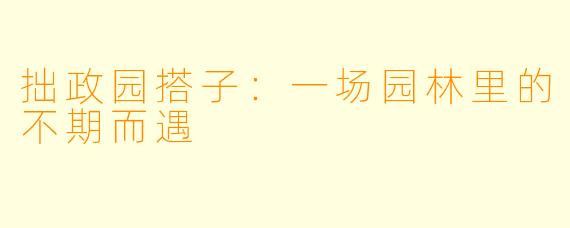 拙政园搭子：一场园林里的不期而遇
