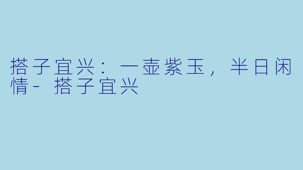 搭子宜兴：一壶紫玉，半日闲情-搭子宜兴