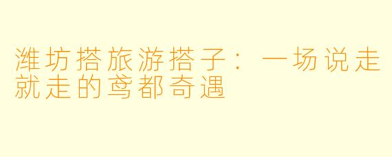 潍坊搭旅游搭子：一场说走就走的鸢都奇遇
