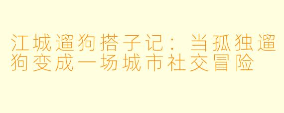 江城遛狗搭子记：当孤独遛狗变成一场城市社交冒险