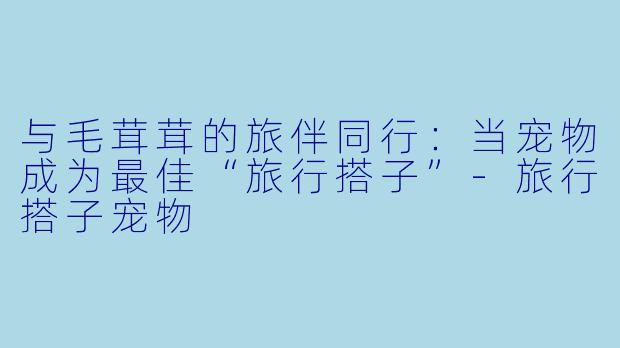 与毛茸茸的旅伴同行：当宠物成为最佳“旅行搭子”-旅行搭子宠物