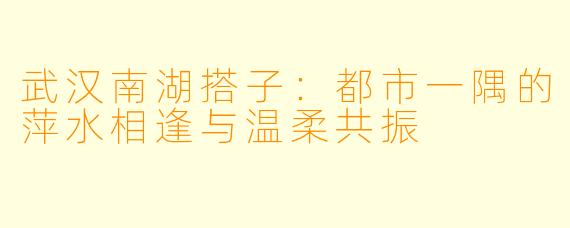 武汉南湖搭子:都市一隅的萍水相逢与温柔共振