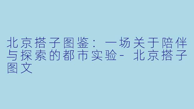 北京搭子图鉴：一场关于陪伴与探索的都市实验-北京搭子图文