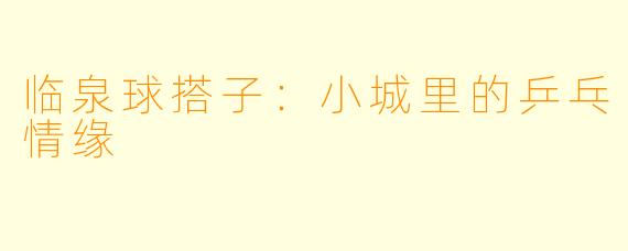 临泉球搭子：小城里的乒乓情缘