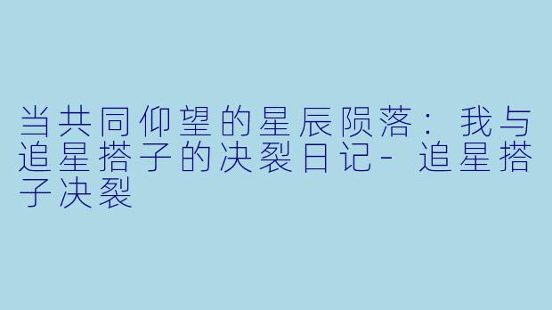 当共同仰望的星辰陨落:我与追星搭子的决裂日记-追星搭子决裂