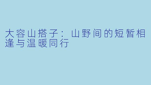 大容山搭子：山野间的短暂相逢与温暖同行