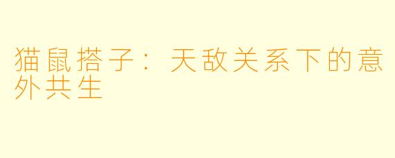 猫鼠搭子:天敌关系下的意外共生