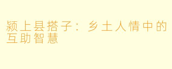 颍上县搭子：乡土人情中的互助智慧