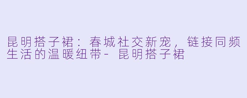 昆明搭子裙:春城社交新宠,链接同频生活的温暖纽带-昆明搭子裙