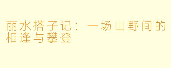 丽水搭子记：一场山野间的相逢与攀登