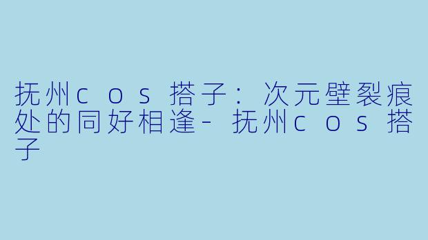 抚州cos搭子：次元壁裂痕处的同好相逢-抚州cos搭子