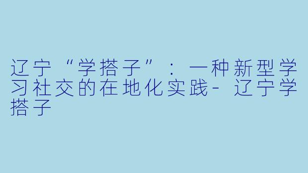 辽宁“学搭子”：一种新型学习社交的在地化实践-辽宁学搭子