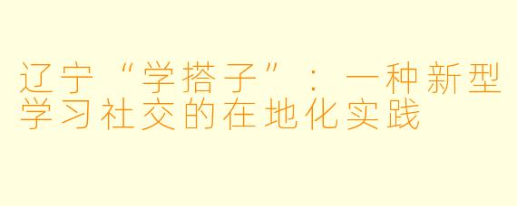 辽宁“学搭子”：一种新型学习社交的在地化实践