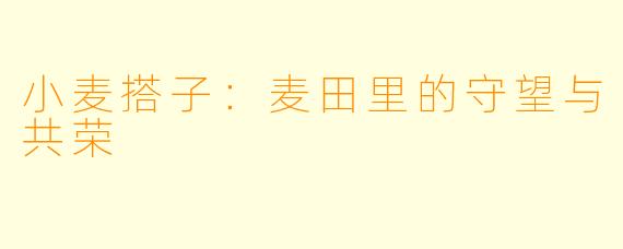 小麦搭子:麦田里的守望与共荣