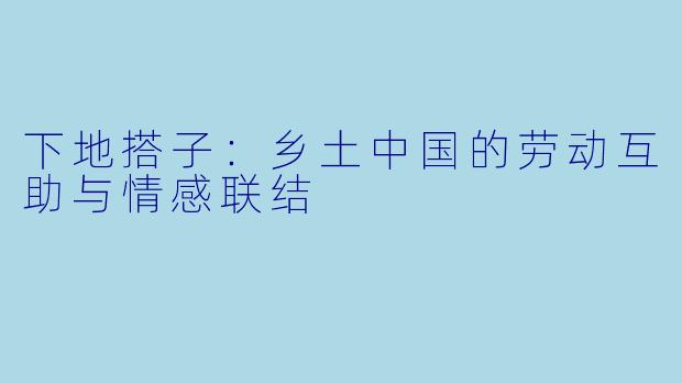 下地搭子：乡土中国的劳动互助与情感联结