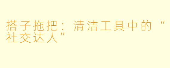 搭子拖把：清洁工具中的“社交达人”