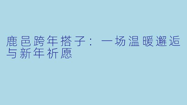 鹿邑跨年搭子：一场温暖邂逅与新年祈愿