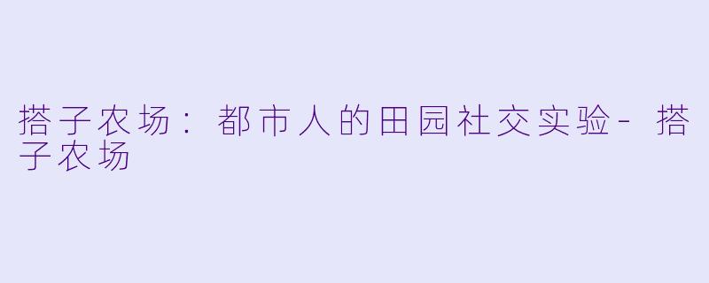 搭子农场：都市人的田园社交实验-搭子农场