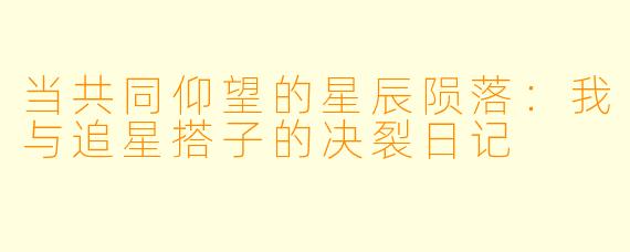 当共同仰望的星辰陨落:我与追星搭子的决裂日记