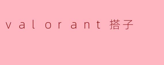 valorant搭子