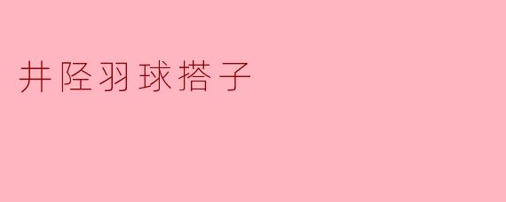 井陉羽球搭子