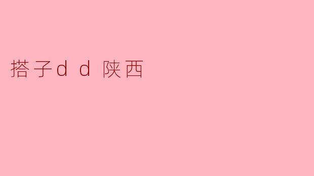 搭子dd陕西