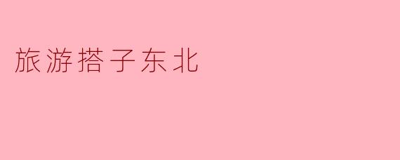 旅游搭子东北