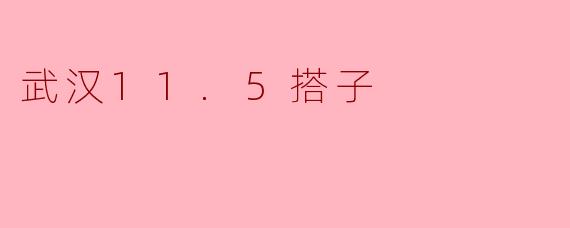 武汉11.5搭子