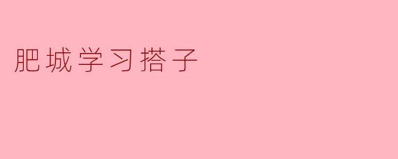 肥城学习搭子
