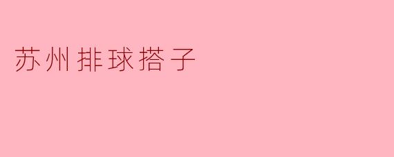 苏州排球搭子