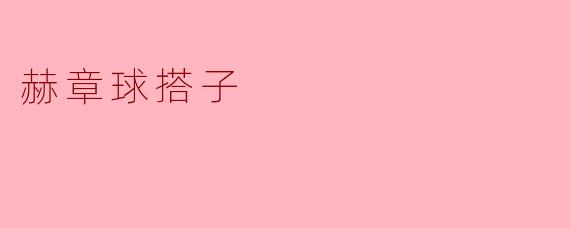赫章球搭子