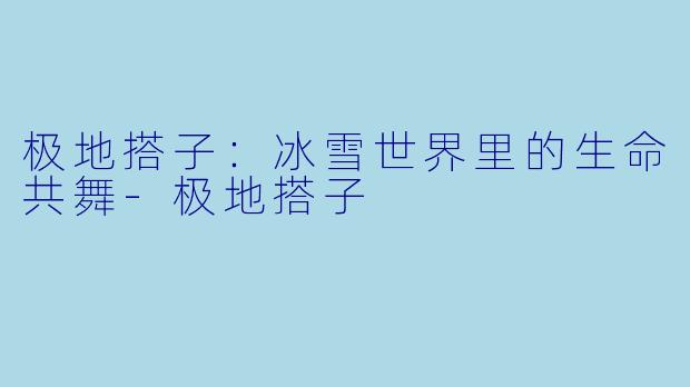 极地搭子：冰雪世界里的生命共舞-极地搭子
