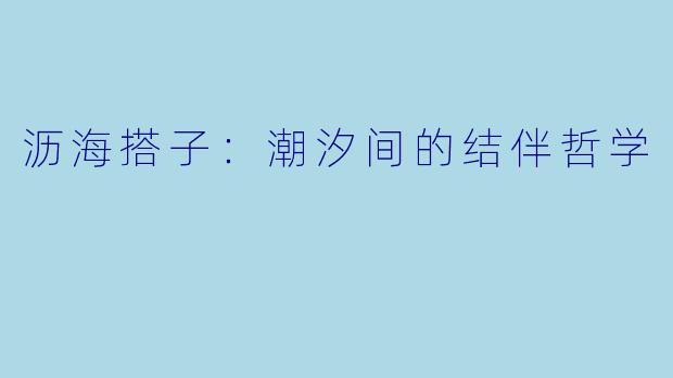 沥海搭子：潮汐间的结伴哲学