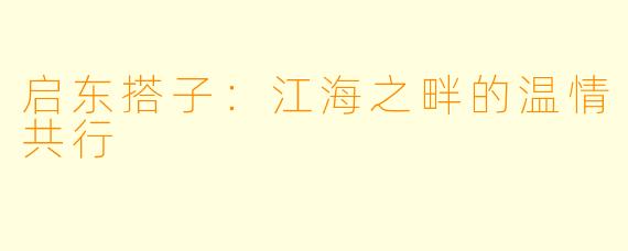 启东搭子：江海之畔的温情共行