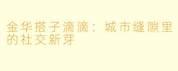 金华搭子滴滴：城市缝隙里的社交新芽